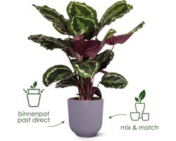 Elho Jazz Rond 35 Bloempot voor Binnen - Woondecoratie van 100% Gerecycled Plastic - Ø 34.5 x H 32.2 cm - Amber geel
