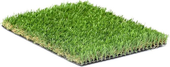Grass