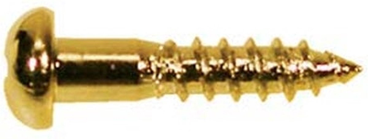 Boston WS-02-G Luxe Dome Hoofd Schroeven - 2,1x10mm (12 Stuks)