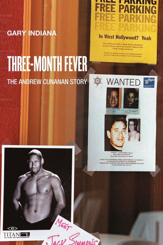 Three Month Fever - cover