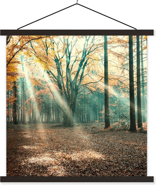 Posterhanger incl. Poster 120x120 cm - Schoolplaat - Herfstbos in Nederland - Textielposter - Zwarte latten