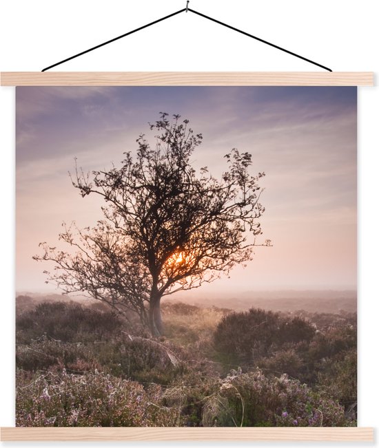 Porte-affiche avec affiche - Affiche scolaire - La bruyère au lever du soleil - 120x120 cm - Lattes vierges