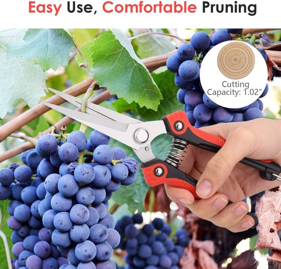 Ausonia 81003 Professionele tuinschaar, 21 cm, rood