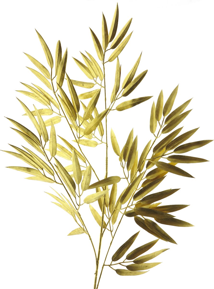 Erutan avon Bamboo spray gold 98cm Erutan Avon geel