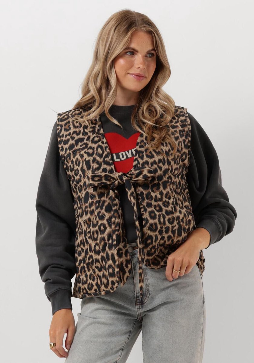 Catwalk Junkie Padded Body Warmer Jassen Dames - Winterjas - Grijs - Maat 40