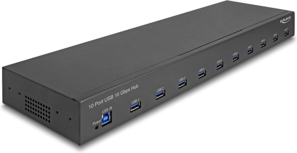 Image of Delock 19″ Industry Hub 10 x USB 10 Gbps Type-A