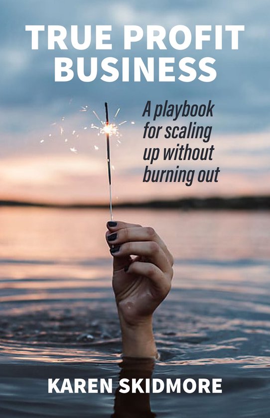 True Profit Business - cover