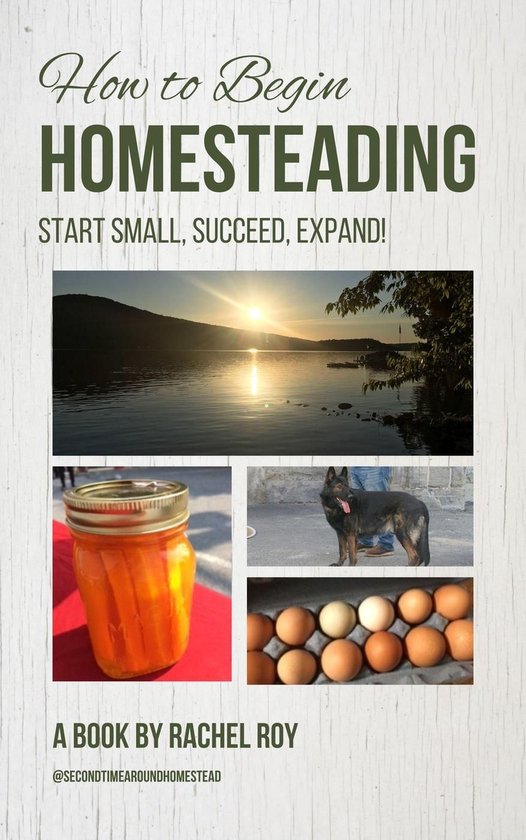 How to Begin Homesteading: Start Small, Succeed, Expand! - cover