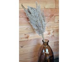 Bundel Gedroogd Pampas Gras Naturel - 120 cm - 5 Stelen - Pampasgras – Pampas Pluimen - Droog Boeket - Beige