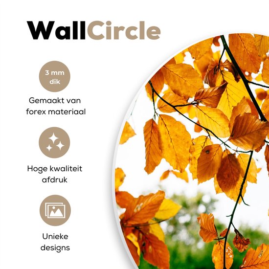 WallCircle - Wall Circle - Wall Circle Indoor - Feuilles d'Automne - Arbre - Rural - 120x120 cm - Décoration murale - Peintures Ronds XXL