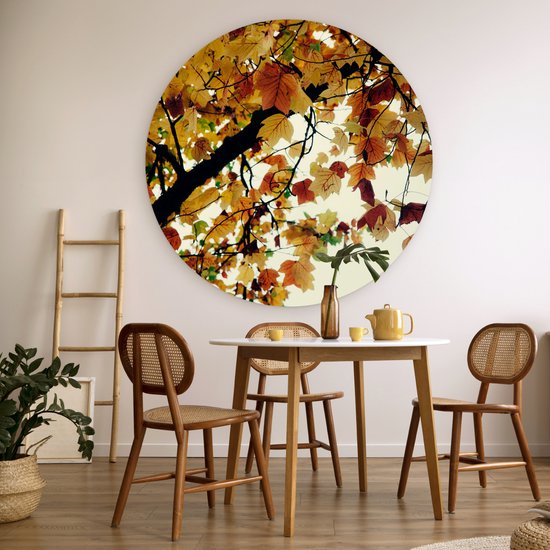 WallCircle - Wall Circle - Wall Circle Indoor - Arbres - Feuilles d'Automne - Nature - 120x120 cm - Décoration murale - Peintures Ronds XXL