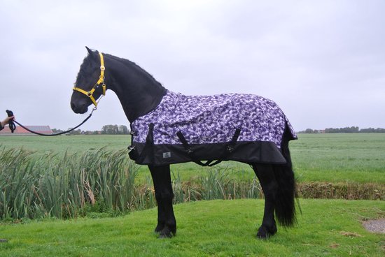 Couverture de pluie de luxe 150 grammes Couverture pour chevaux Zwart/violet.