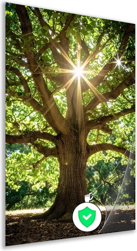 Boom poster - Natuur poster - Muurdecoratie Zon - Muurdecoratie modern - Poster slaapkamer - Decoratie muur poster 40x60 cm