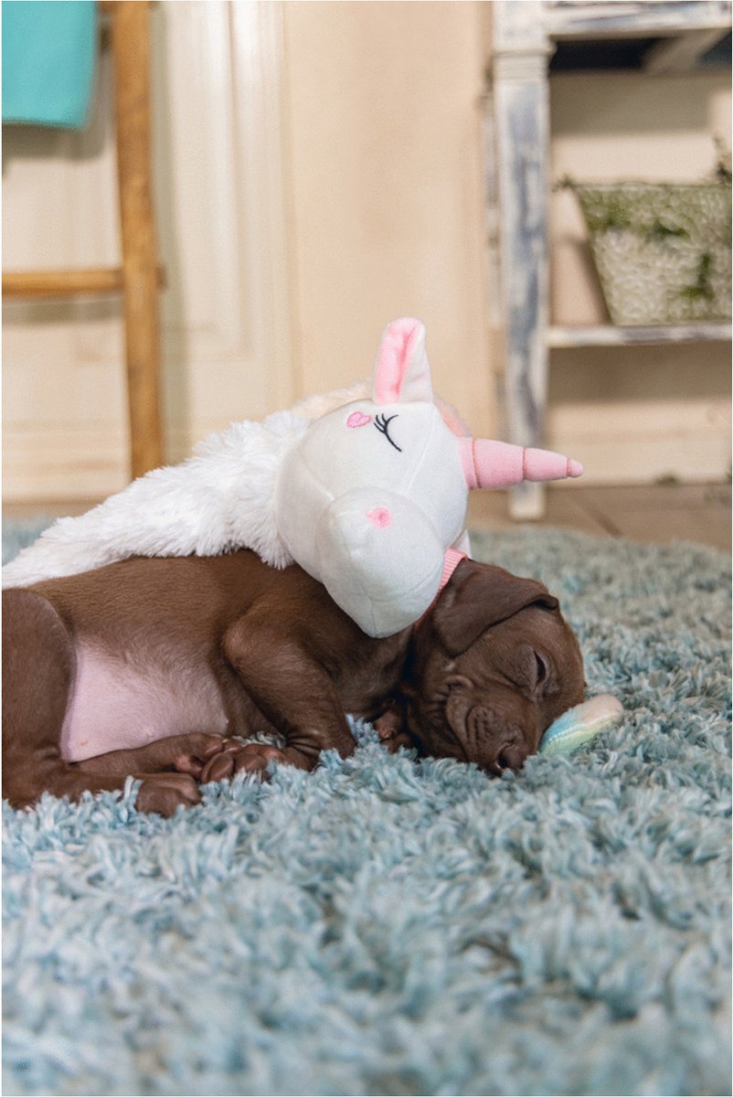 Beeztees Puppy Flatino Unicorn Lo - Puppy Speelgoed - Puppyknuffel - Hondenspeelgoed - Wit 49x10x14 cm - Hond thumbnail 3