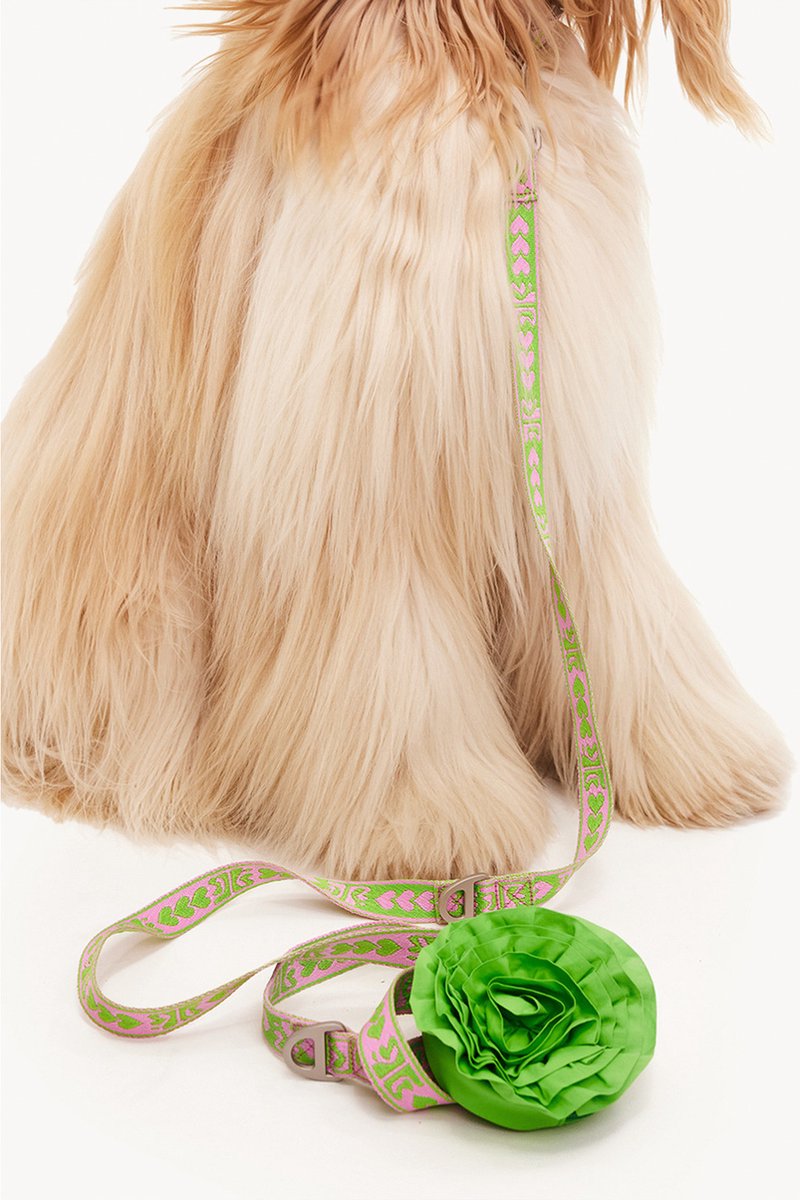 Dogguo Leash - Hondenriem - 23 cm Groen Pink Voor Grote Honden