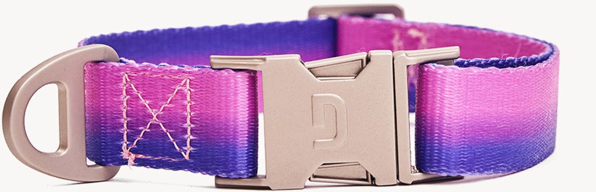 Dogguo Gradient Collar Paars&Pink - Hondenhalsband - Kleinste Honden