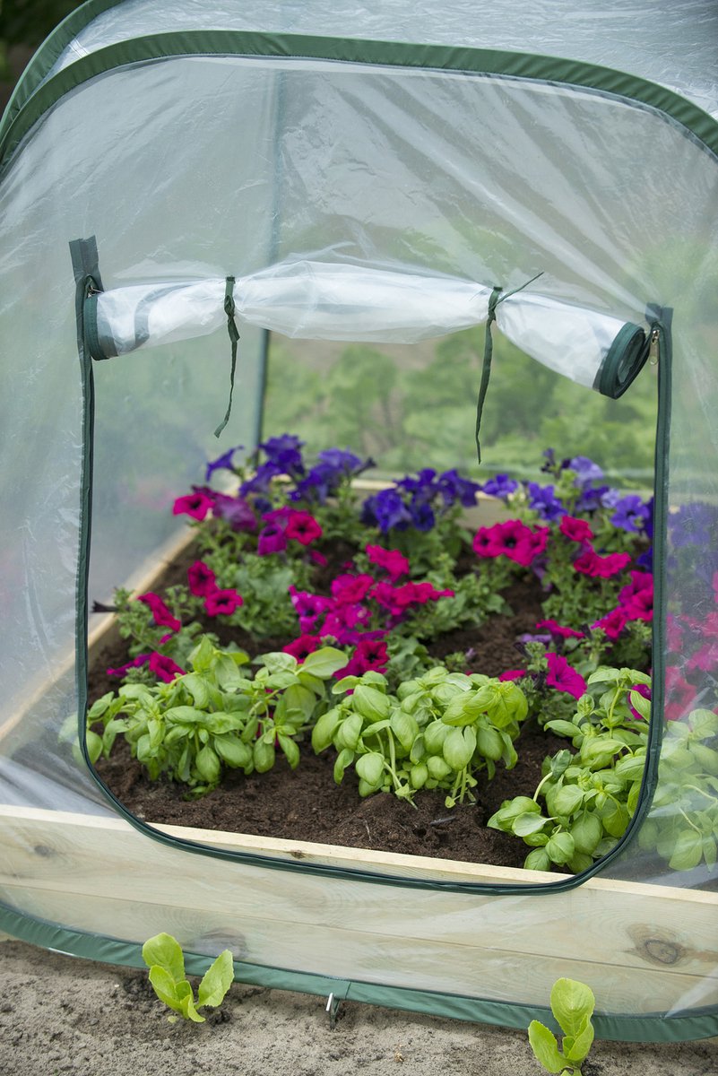 Talen Tools Nature Tuinbroeikas pop-up - 100 x 100 x 100cm
