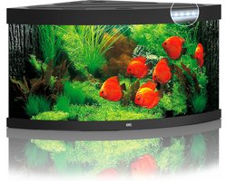 Juwel Aquarium Trigon 350 Led 123x87x65 cm - Aquaria - Zw...