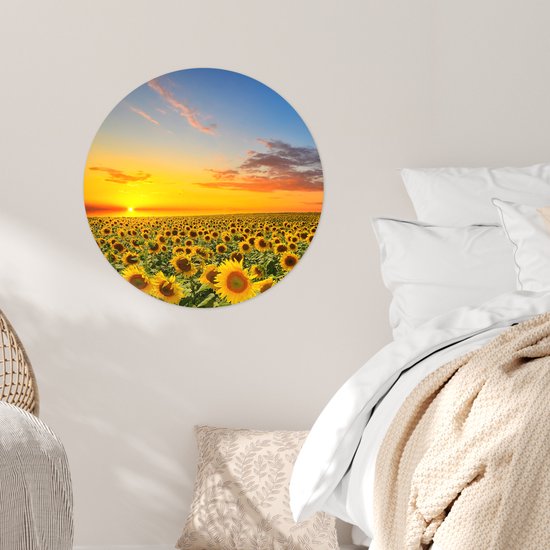 Papier peint cercle - Tournesol - Fleurs - Champ - Jaune - Papier peint autocollant - 50x50 cm - Papier peint cercle fleurs - Papier peint autocollant - Papier peint cercle - Papier peint rond - Papier peint cercle autocollant