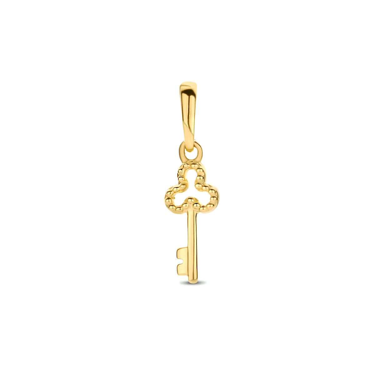 14K geelgoud hanger sleutel 4028298