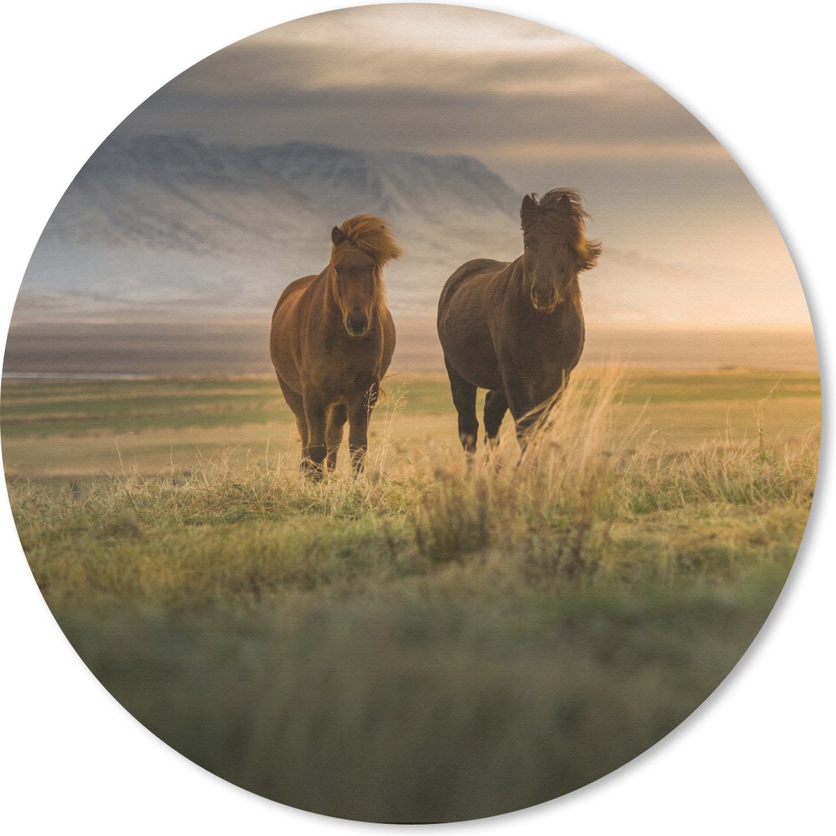 Muismat rond 30x30 cm - Mousepad Paarden - Lucht - Gras - Ronde muismatten