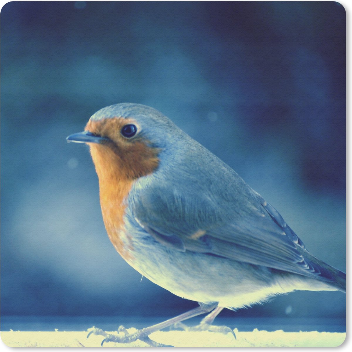 Muismat 20x20 cm - Mousepad Roodborstje - Blauw - Sneeuw - Muismatten
