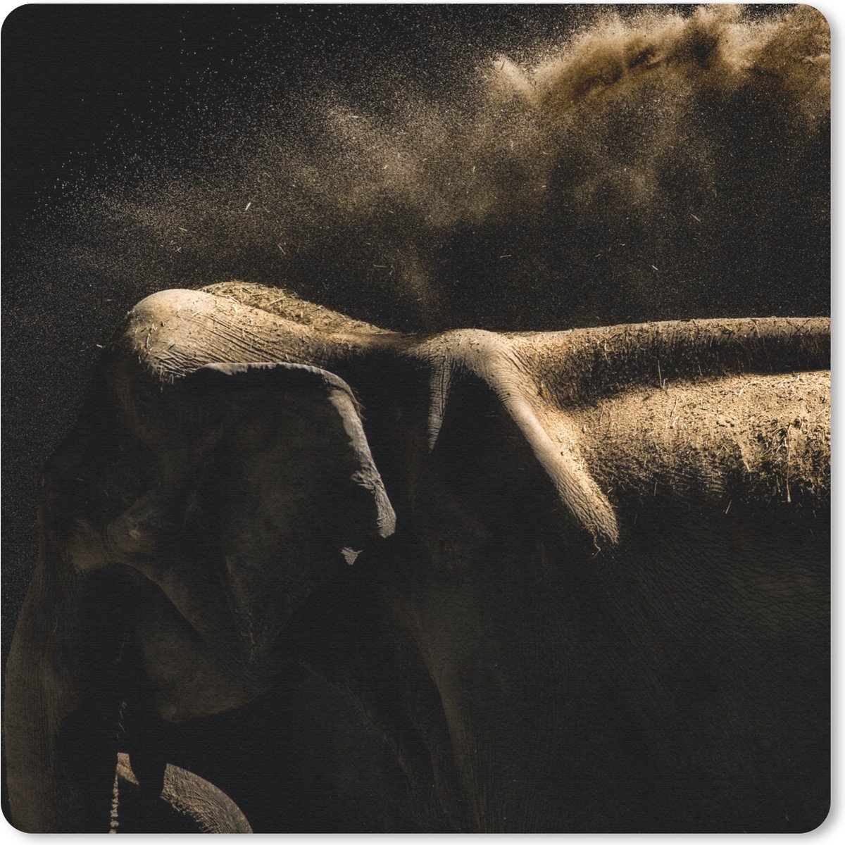 Muismat 20x20 cm - Mousepad Olifant - Modder - Dieren - Zwart - Muismatten