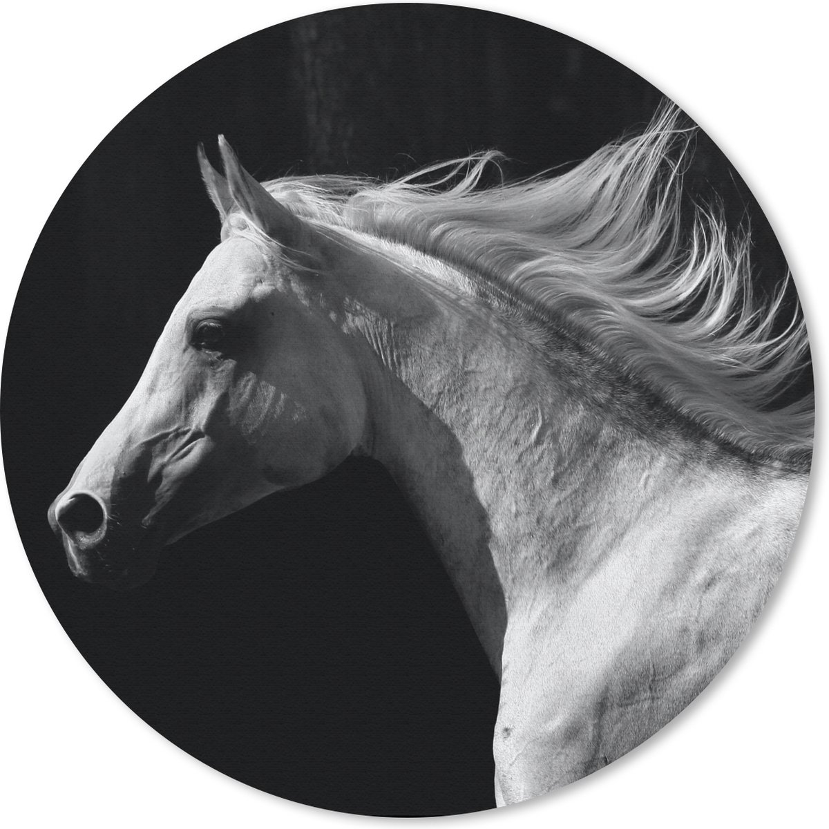Muismat rond 30x30 cm - Mousepad Paarden - Dieren - Portret - Ronde muismatten