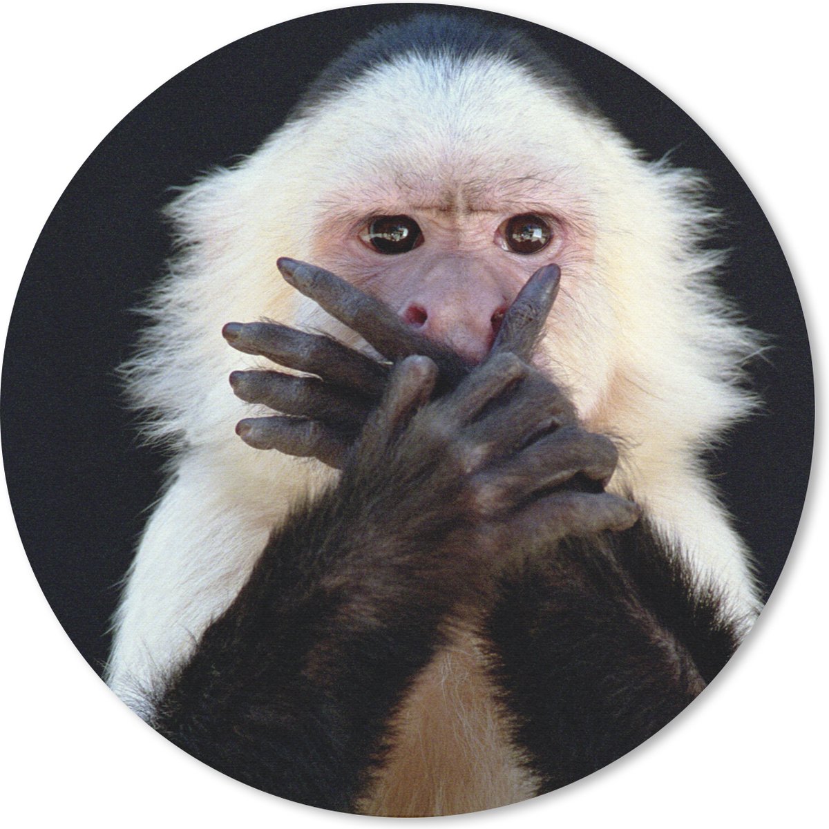 Muismat rond 20x20 cm - Mousepad Aap - Wilde dieren - Portret - Ronde muismatten