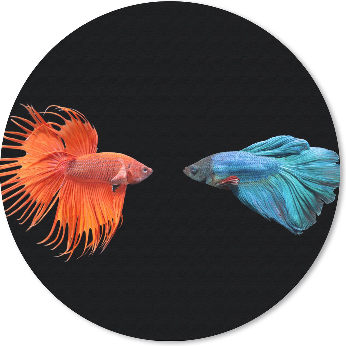 Muismat rond 40x40 cm - Mousepad Vis - Wilde dieren - Zwart - Ronde muismatten
