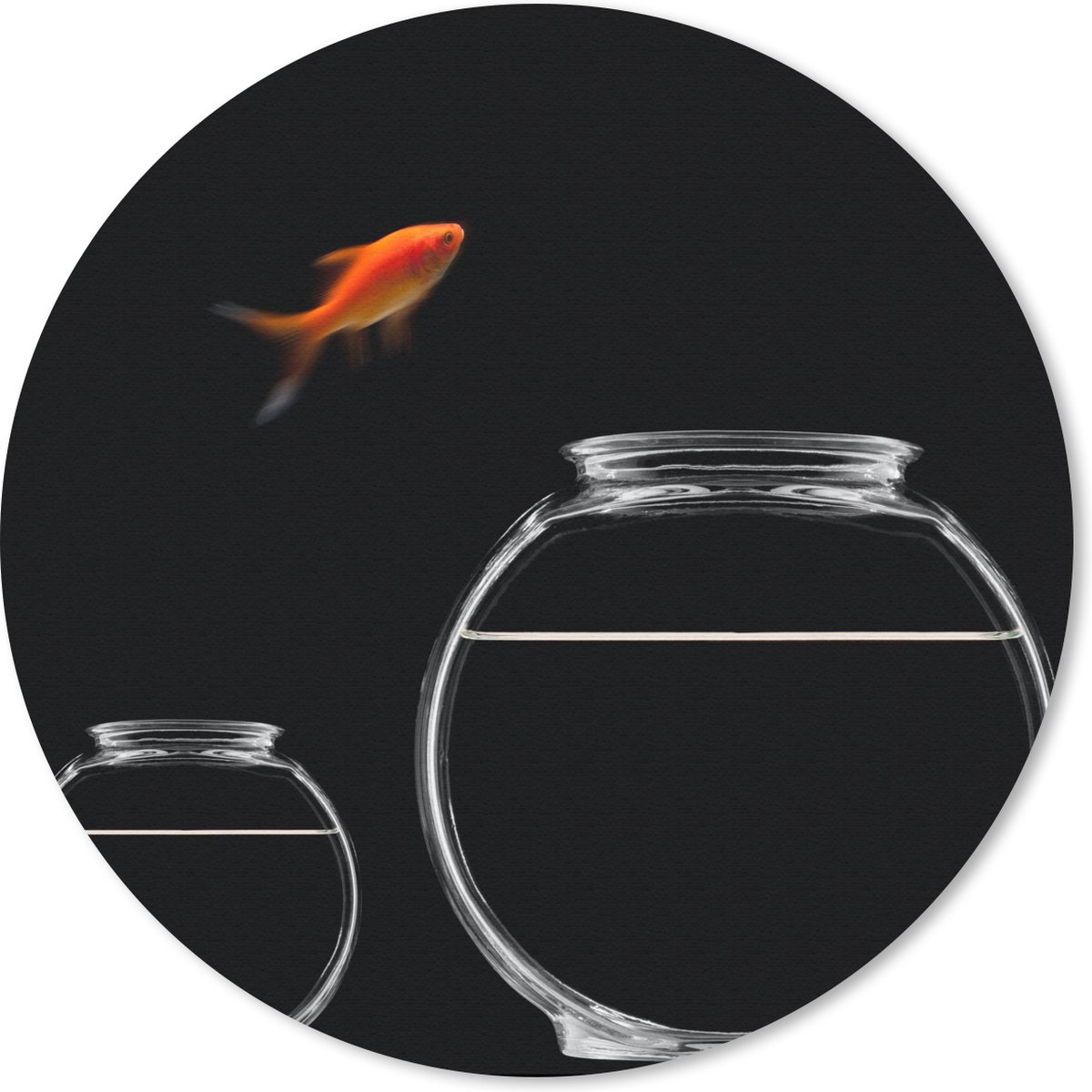 Muismat rond 40x40 cm - Mousepad Goudvis - Vissenkom - Zwart - Ronde muismatten