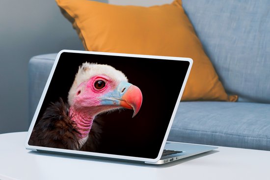 Sticker pour ordinateur portable - 15,6 pouces - Vautour - Vogel - Bec