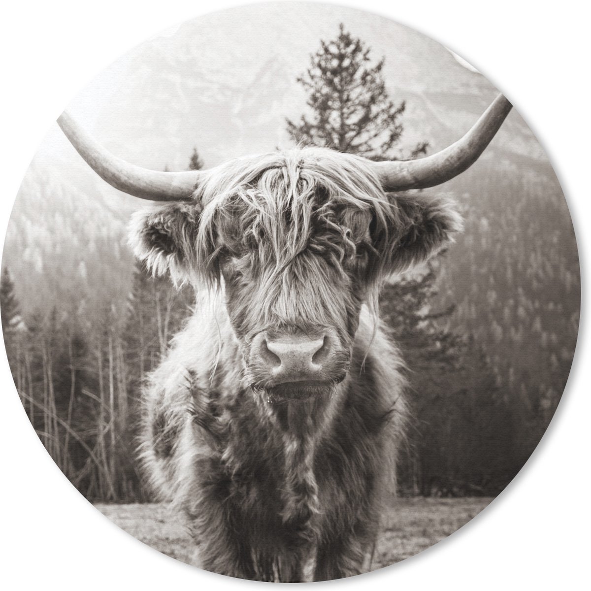 Muismat rond 30x30 cm - Mousepad Schotse hooglander - Dieren - Zwart - Wit - Ronde muismatten