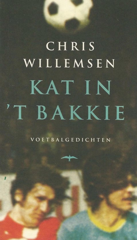 Kat in 't bakkie