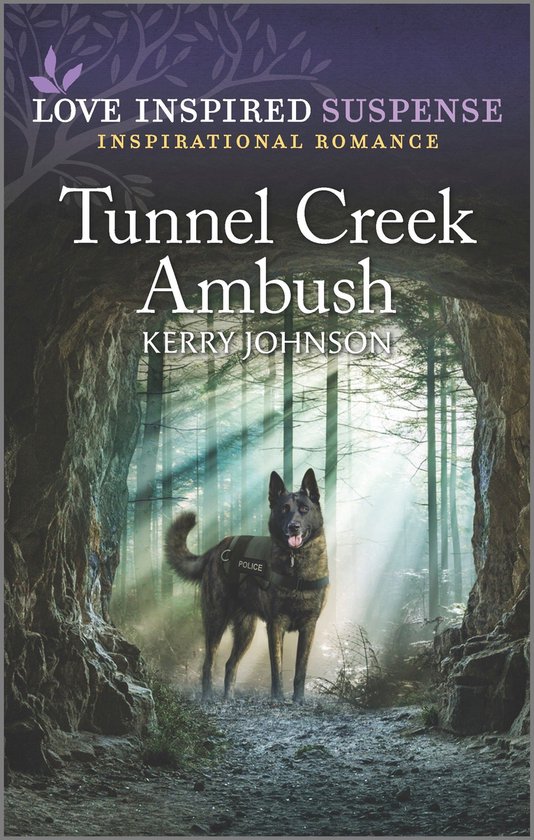 Tunnel Creek Ambush - cover