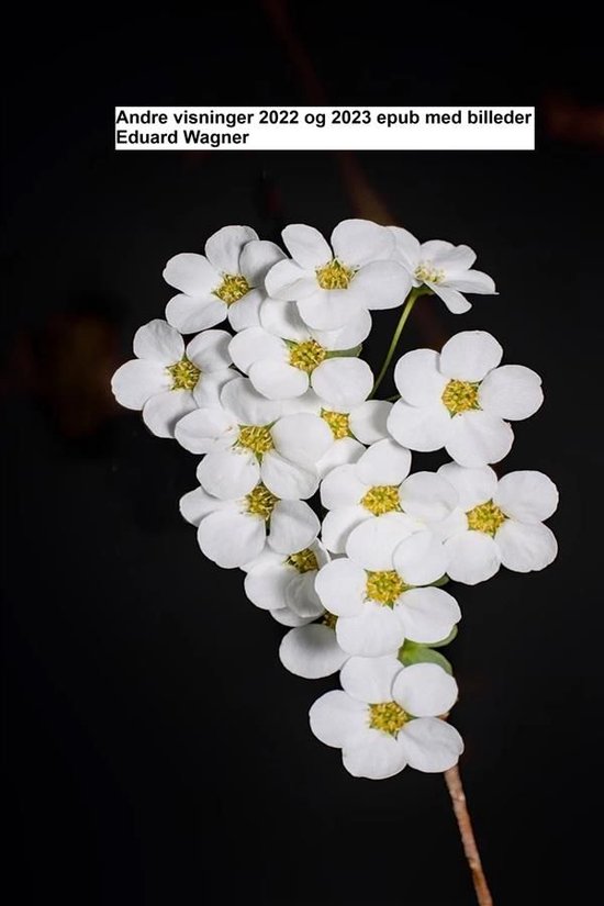 Andre visninger 2022 og 2023 epub med billeder - cover