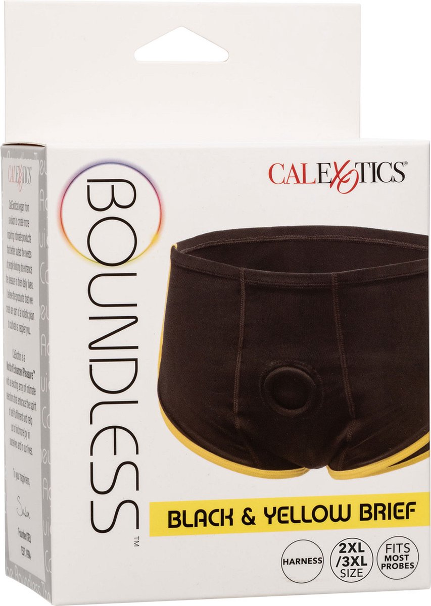 Boundless Brief