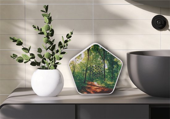 Olymp Sounds of Nature Box met bosafbeelding op een aanrecht naast een vaas met groen en een wastafelkraan.
