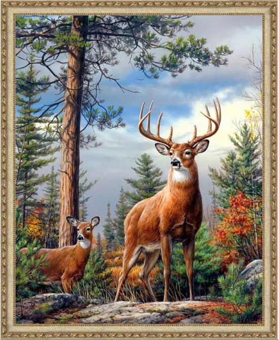 Diamond Painting Dikke Dames 68 | Angels Diamond Painting Diamond Painting Dikke Dames 68 | Angels Diamond Painting