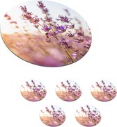 Onderzetters voor glazen - Rond - Lavendel - Close-up - Zon - Bloemen - Paars - 10x10 cm - Glasonderzetters - 6 stuks