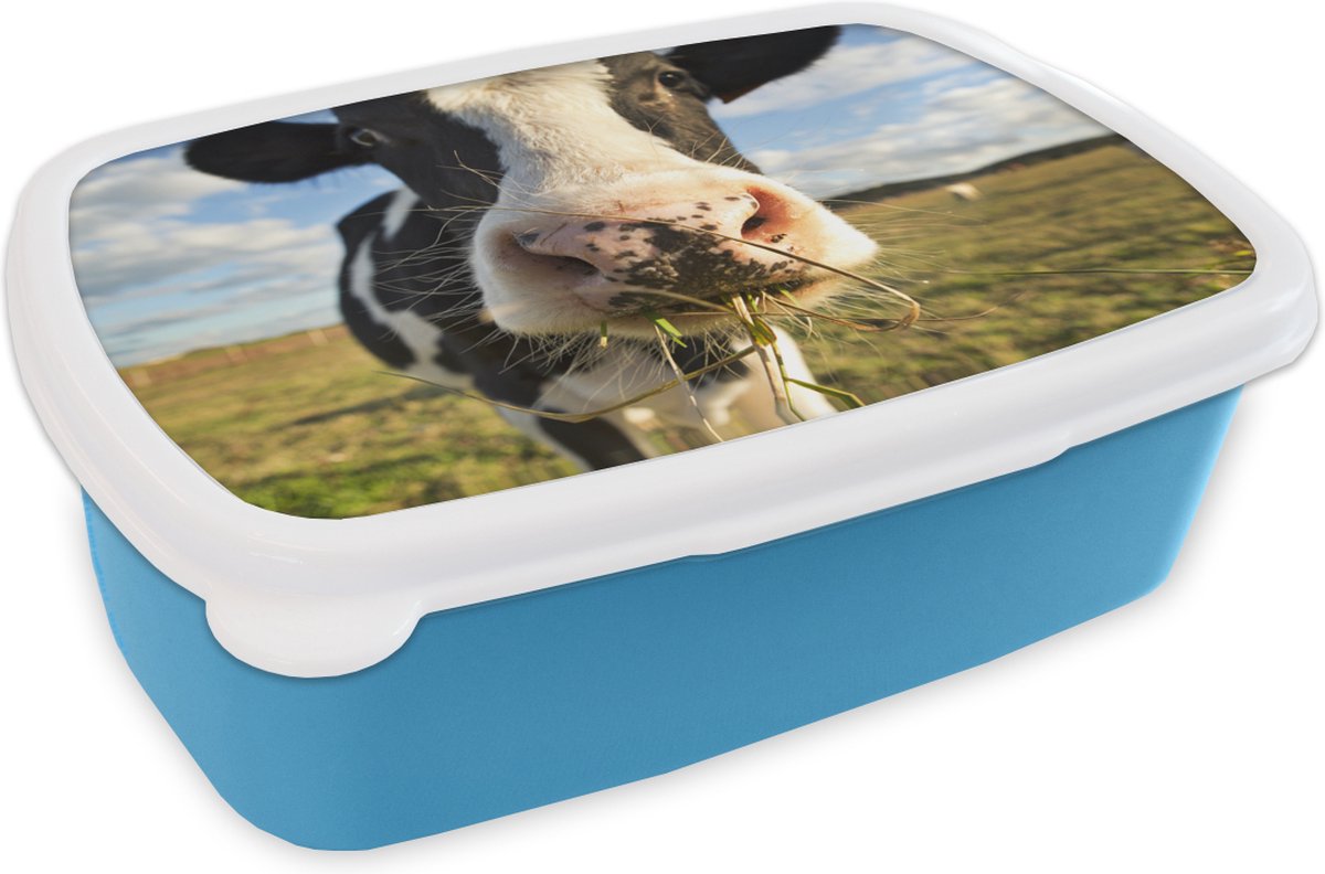Broodtrommel Blauw - Lunchbox - Brooddoos - Koe - Licht - Gras - 18x12x6 cm - Kinderen - Jongen