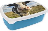 Lunchbox Blauw - Lunchbox - Boîte à pain - Vache - Léger - Herbe - 18x12x6 cm - Enfants - Garçon