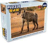 Puzzel Hyena - Afrika - Legpuzzel - Puzzel 1000 stukjes volwassenen