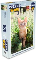 Puzzle Un chaton dans les buissons - Puzzle - Puzzle 500 pièces