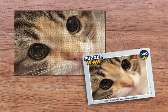Puzzle Un gros plan d'un chaton - Puzzle - Puzzle 500 pièces