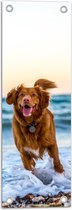 WallClassics - Tuinposter – Vrolijke Hond op het Strand - 20x60 cm Foto op Tuinposter  (wanddecoratie voor buiten en binnen)