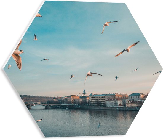 WallClassics - PVC Schuimplaat Hexagon  - Vliegende Vogels Boven een Rivier in Praag - 40x34.8 cm Foto op Hexagon (Met Ophangsysteem)
