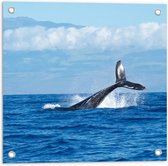 WallClassics - Tuinposter – Walvis Staart boven het Zee Oppervlak - 50x50 cm Foto op Tuinposter  (wanddecoratie voor buiten en binnen)