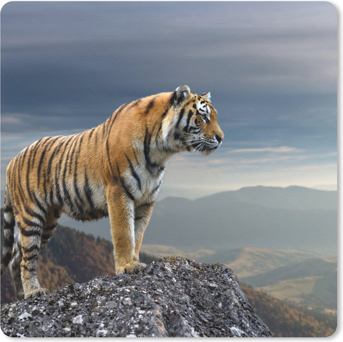 Muismat 20x20 cm - Mousepad Tijger - Berg - Natuur - Landschap - Muismatten