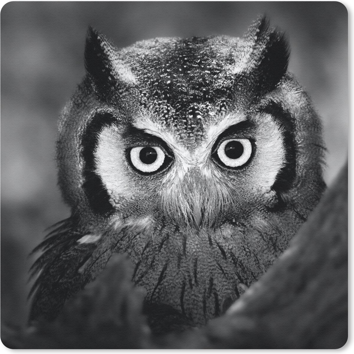 Muismat 20x20 cm - Mousepad Vogel - Uil - Portret- Zwart - Wit - Muismatten